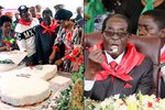 Narozeninová oslava zimbabwského prezidenta Roberta Mugabeho stála přes milion dolarů