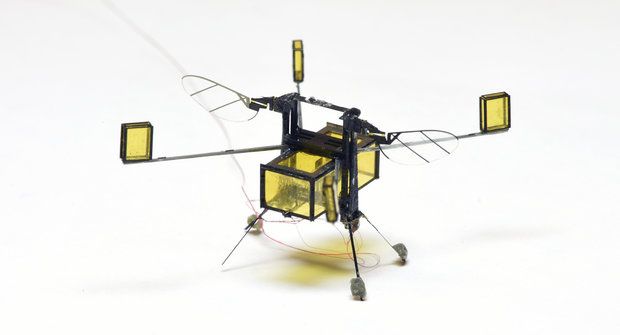 ROBOBEE 2.0: Obojživelný hmyzák