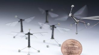 RoboBees: Miniaturní létající roboti napodobují hmyz