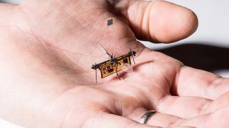Robotizovaný hmyz uskutečnil první samostatný let