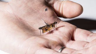 RoboFly: Robotický hmyz napájí solární článek. Zvládne vzlétnout i bez baterky 