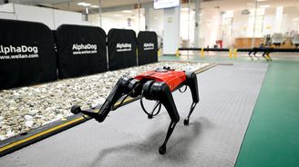 Robotický pes Alphadog obsluhuje v restauracích a roznáší balíky