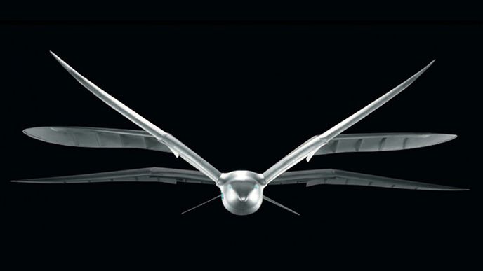 SmartBird SmartBird