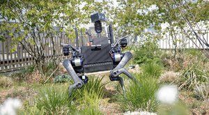 Roboti z Bostonu vyrážejí: Je lidstvo připraveno?
