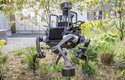 Robot Anymal bude spolu se Spotem od Boston Dynamics prvním volně dostupným robotem svého druhu, u kterého se v budoucnosti očekává především pomoc při krizových situacích u záchranných složek