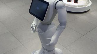 Člověk napadl humanoidního robota a byl za to zatčen