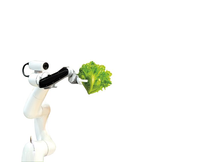 Kamera na robotické ruce pozná, jestli je zelenina už zralá nebo zda nemá nemoci