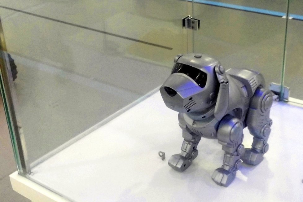 Čínský robotický pes