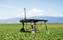 Roboti nahrazují v zemědělství lidi