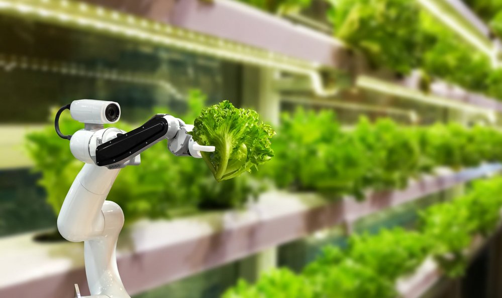 Roboti pomáhají také se sběrem úrody