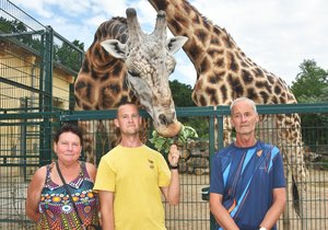 Rodina Weberů u žiraf v plzeňské zoo. Maminka Růžena (63), syn Tomáš (33) a táta Tomáš (63).