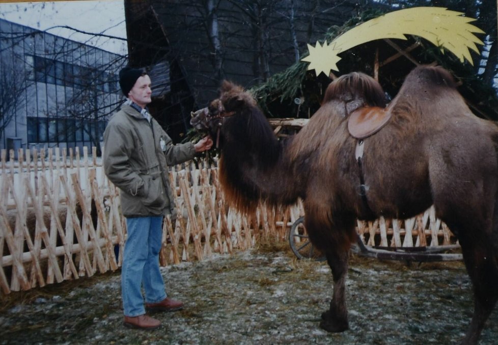Rok 1996: Tomáš s velbloudem na vánočních trzích.
