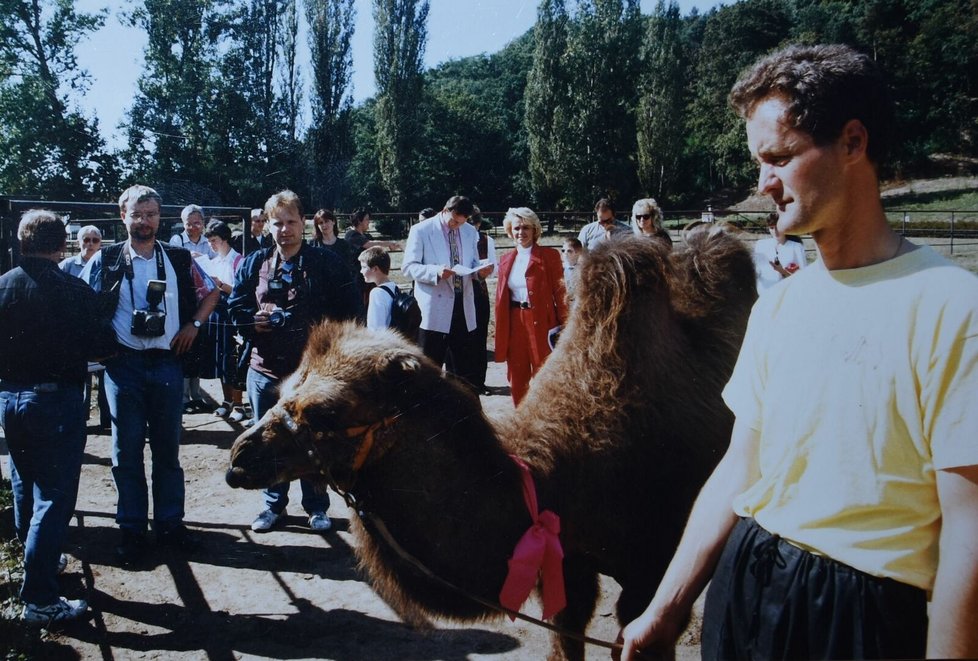 Rok 1998: Tomáš při křtu mláděte velblouda.