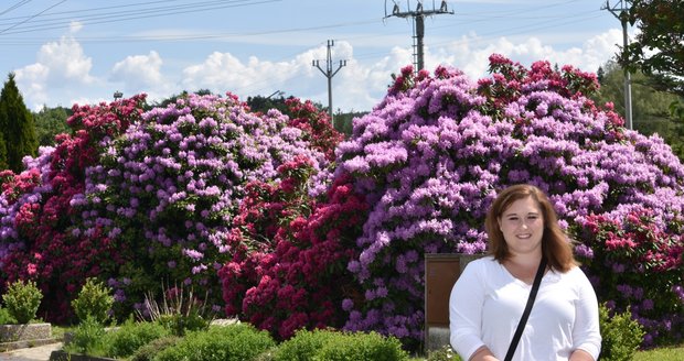 Martina Punčochářová (19) u rozkvetlých rododendronu před Obecním úřadem v Jarově na jihu Plzeňska.