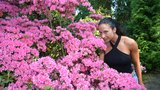 Český unikát: Na Opavsku rozkvetly miliony rododendronů