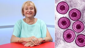 Primářka Hana Roháčová doporučuje očkování proti pásovému oparu.