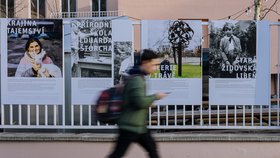 Na Rohanském ostrově stávala první lesní školka v Praze: Výstava také prozradí, na jakou zvěř tu narazíte