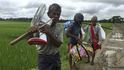 Prchající Rohingové na cestě do Bangladéše Prchající Rohingové na cestě do Bangladéše