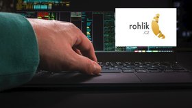 Firma Rohlik.cz čelila v úterý hackerskému útoku.