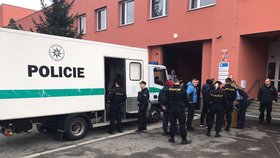 Šťára na Rohlík.cz: Cizinecká policie odvedla 85 lidí