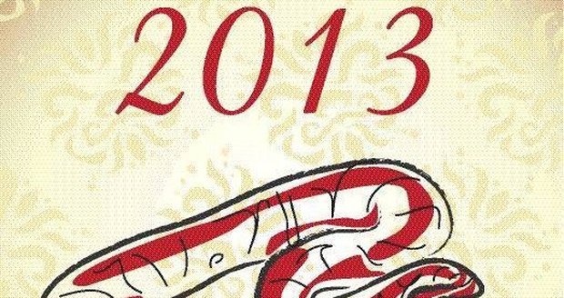Rok 2013 je rokem Hada. Víte, co vás čeká a pravděpodobně nemine?