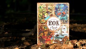 Rok v lese: Překvapivě vtipná a chytrá knížka pro batolata a předškoláky