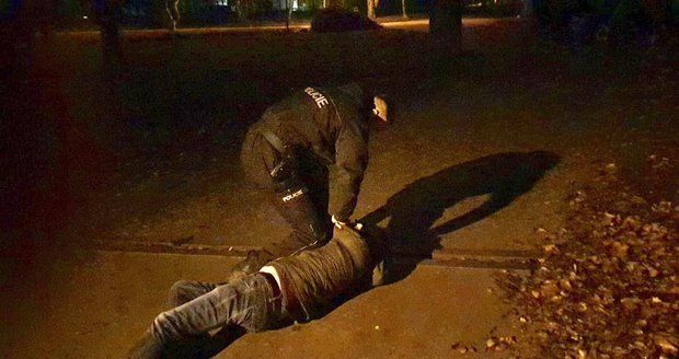 VIDEO: Hon na „honiče“ ve Vysočanech: Cizinec se ukájel před nezletilými dívkami, policisté ho zadrželi
