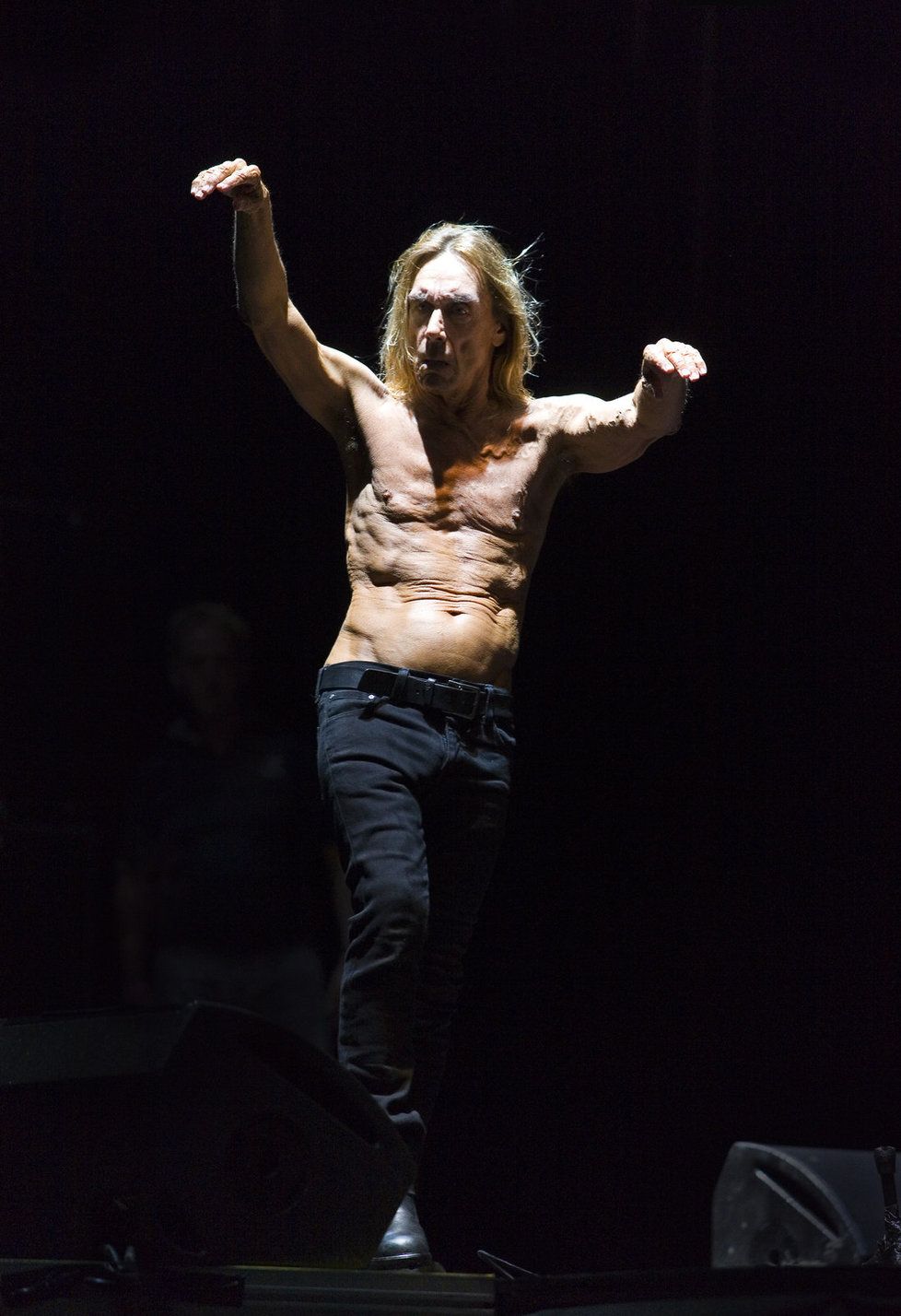 Iggy Pop na festivalu Colour of Ostrava 2010