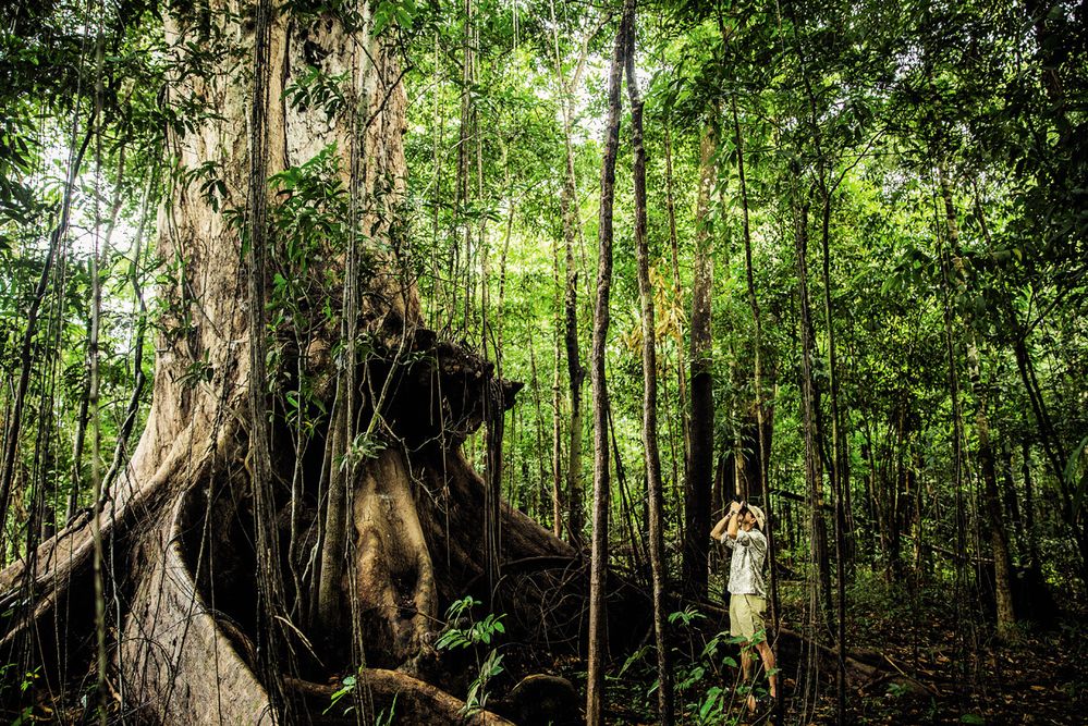 Hned během první návštěvy Amazonského pralesa jsem se do tohoto unikátního ekosystému zamiloval. A není to jen o fauně a flóře, ale také o původních obyvatelích, kteří mě srdečně přijali a byli mi průvodci.
