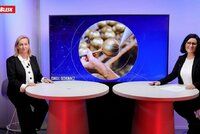 Expertka o trendech letošních Vánoc: Jaké ozdoby kupují Češi nejvíc?