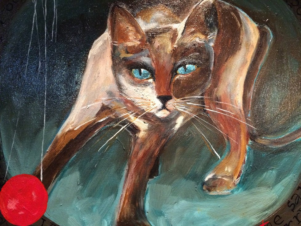 Kočky, kočky, kočky. Romana Štryncl je miluje a maluje.