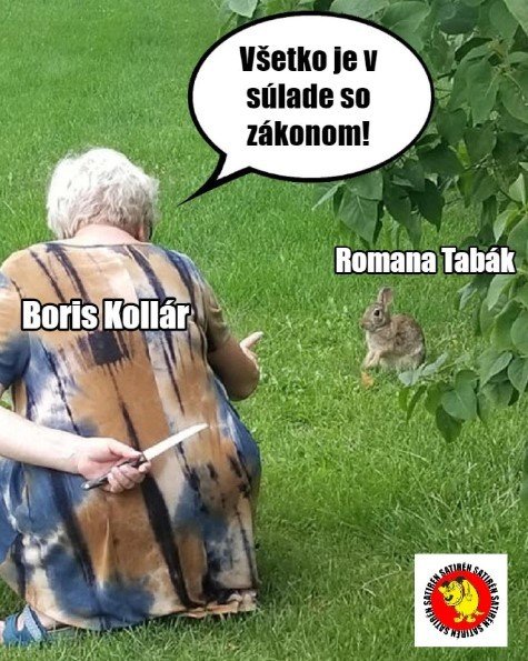 Poté, co zničehonic změnila názor na zřejmě opsanou diplomovou práci předsedy slovenského parlamentu Borise Kollára, stala se slovenská poslankyně Romana Tabák terčem posměchu a internetových vtipů.