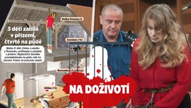 Romana Zienertová si ve vězení odpykává doživotní trest za vraždu čtyř dětí.