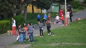 Na městské strážníky v ghettu na Teplicku zaútočilo přes 50 lidí: Chtěli jen vidět občanku opilce (ilustrační foto).