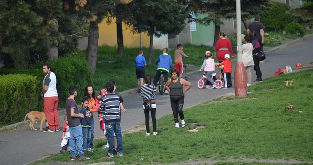Na městské strážníky v ghettu na Teplicku zaútočilo přes 50 lidí: Chtěli jen vidět občanku opilce (ilustrační foto).