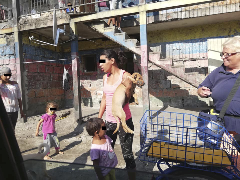 Takhle žijí lidé? Při záchraně psů z romské osady unikly na internet šokující záběry