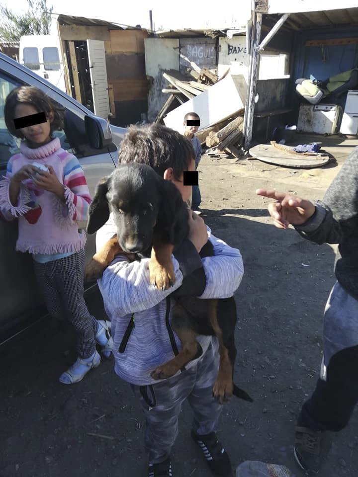 Takhle žijí lidé? Při záchraně psů z romské osady unikly na internet šokující záběry.