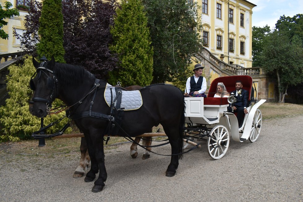 Romská veselka s hostem Godlou