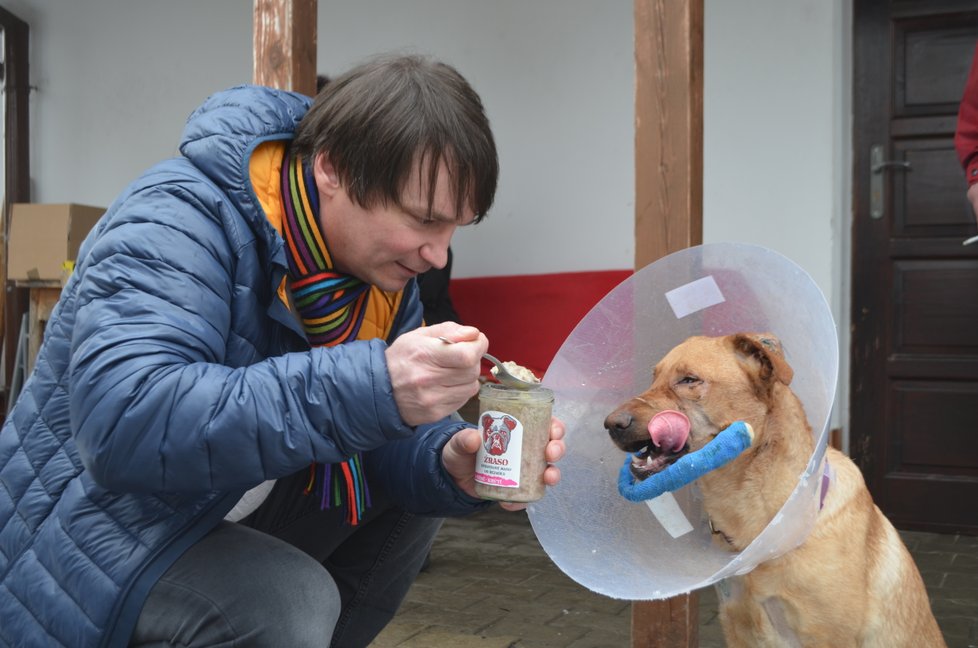 Ronny měl i svého sponzora, který mu po dobu jeho pobytu v útulku dodával zdarma krmení.