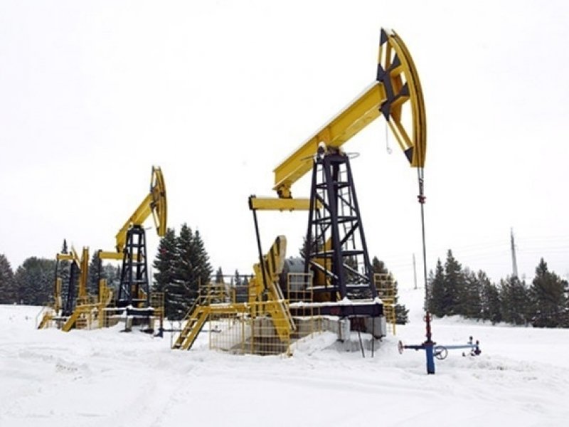 Těžby ropy v Udmurtsku, na východě evropské části Ruska.