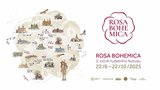 Hudba jako pokrm pro duši: Festival Rosa Bohemica rozezní výjimečná místa v Česku