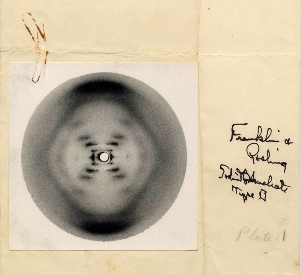 Rentgenový snímek B-DNA, který pořídila Rosalind Franklinová.
