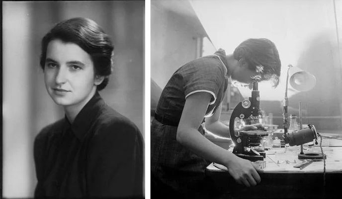 Rosalinda Franklin