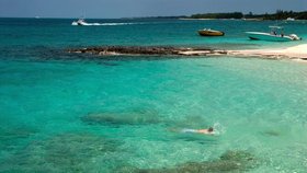 Turistku na Bahamách roztrhali tři žraloci. Stalo se to na pláži u Rose Island