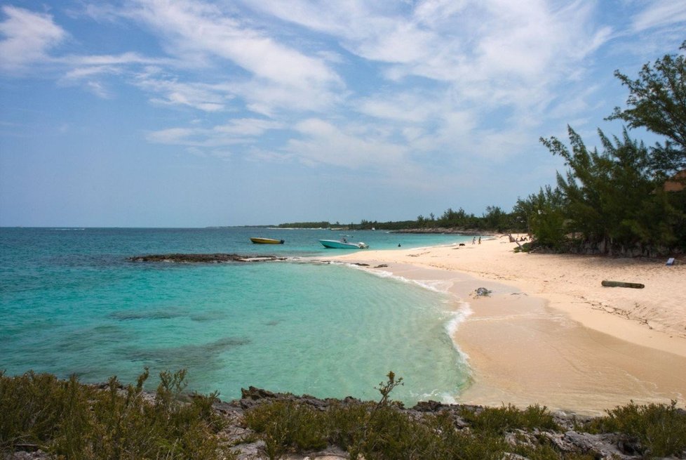 Turistku na Bahamách roztrhali tři žraloci. Stalo se to na pláži u Rose Island