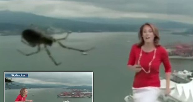 Kanadskou rosničku vyděsil obří pavouk a diváce se chytali za břicha smíchy!