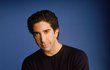 Ross Geller