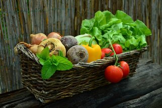 Rostlinnou stravou ke zdravému životnímu stylu
