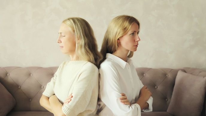 Spoluvlastnictví domu se může stát zdrojem hádek a zhoršení rodinných vztahů. Spoluvlastnictví domu se může stát zdrojem hádek a zhoršení rodinných vztahů.
