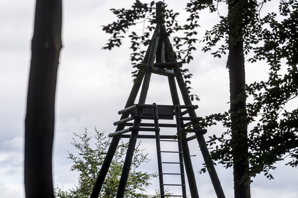 Vyhlídková věž v Markvarticích, z níž 3. srpna večer spadlo osm dětí z nedalekého tábora a mladistvý praktikant, 4. srpna 2023, Děčínsko.
